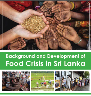 Background and Development of Food Crisis in Sri Lanka