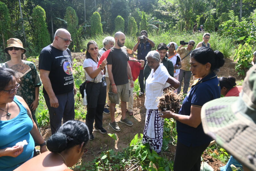 Field Trip – Attapitiya, Mawanella| Nyéléni Global Forum 2025