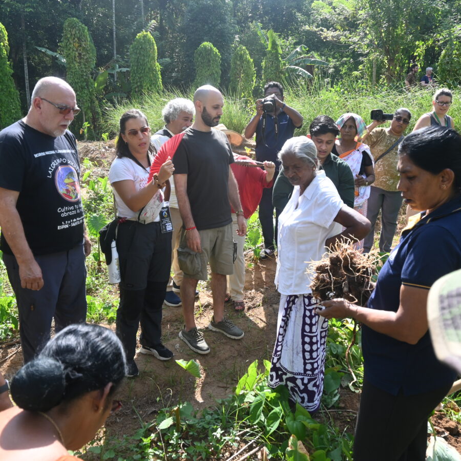 Field Trip – Attapitiya, Mawanella| Nyéléni Global Forum 2025