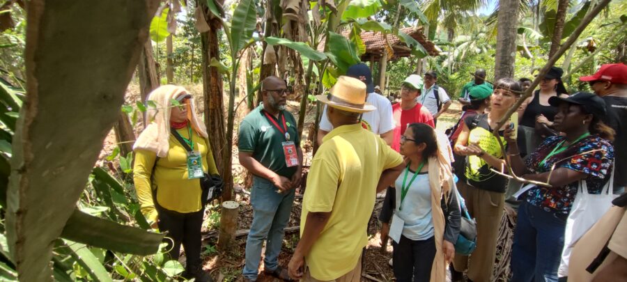Field Trip – Rambukkana | Nyéléni Global Forum 2025