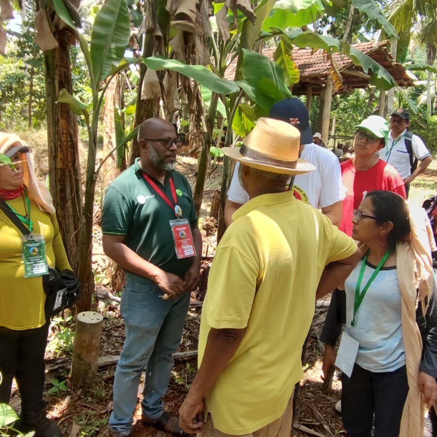 Field Trip – Rambukkana | Nyéléni Global Forum 2025